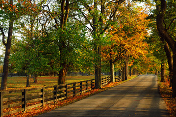 Fototapeta na wymiar A small country lane travels through colorful autumn foliage
