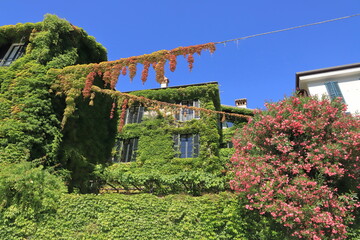 Fototapeta na wymiar Casa coperta da foglie a Bellagio