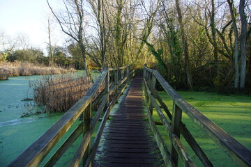 Wooden bridge over the lakes and ponds in Melford Country Park, Suffolk, UK, January 2021
