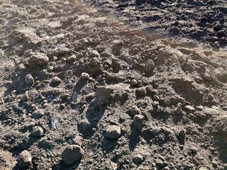 Land, black earth is large. Farming, crop cultivation concept