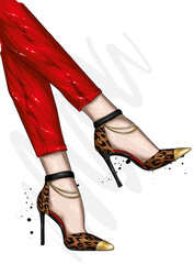 Women's legs in stylish high-heeled shoes and trousers. Fashion and style, clothing and accessories. Vector illustration. - 406159332