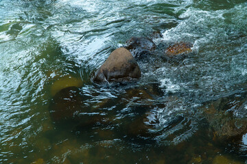 water flowing into the water