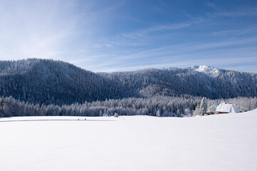 Zwei Langläufer in einer wunderschönen Winterlandschaft