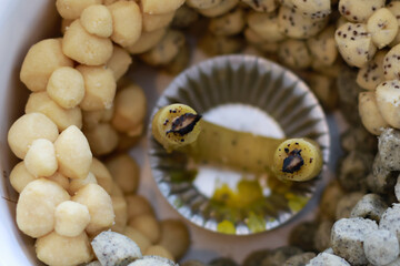 Thai Traditional Dessert Homemade Cookies 