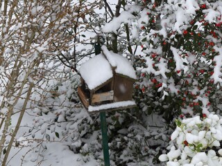 snow covered the birdhouse 