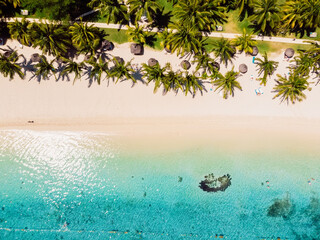 Luxury beach with palms and blue ocean in Mauritius. Aerial view