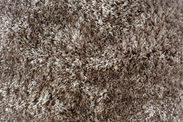 Background grey or brown carpet for interior design