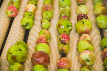 Production line for processing apples for the production of fresh juice