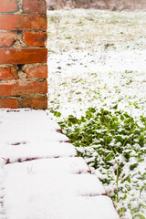 Green grass in the snow near a brick porch in the countryside 