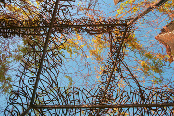 View of the blue sky through the alcove roof overgrown with plants