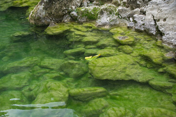 view of the source of the river Borosa located in the Natural Park of the Sierras de Cazorla, Segura and las Villas, Andalucia, Spain.