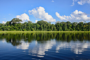 Obraz na płótnie Canvas Lake Chimbadas at Tambopata National Reserve, Peruvian Amazon