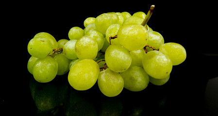 Branch of ripe green grapes isolated on a black background. Selective focus on the green grape