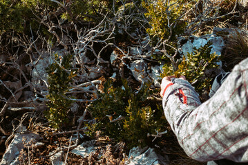 Beautiful sunset in the mountains. Higher than clouds.