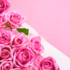 Background of beautiful pink roses with copy space