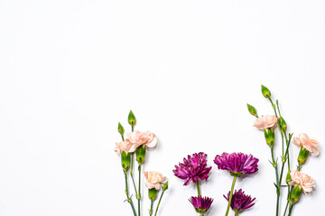 Flores reales sobre fondo blanco