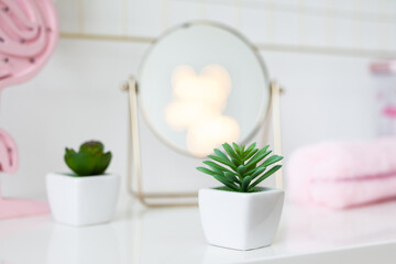 Obraz na płótnie Canvas green plants in a white pots on a table