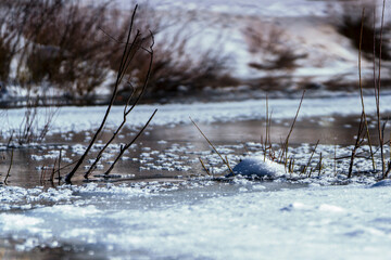 Ice forms and floats on top of a mountain stream on a bright winter day.