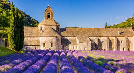 The Romanesque Cistercian Abbey of Notre Dame of Senanque set amongst flowering lavender fields, near Gordes, Provence, France