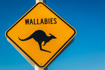 Wallaby warning sign, Northern Territory, Australia