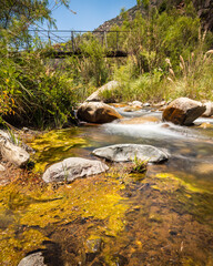 Naklejka na ściany i meble Vista panorámica del Parque Nacional Río Clarillo con el río en movimiento y el puente que conecta el recorrido Aliwen Mahuida
