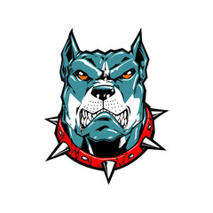 Cachorro pitbull muito bravo