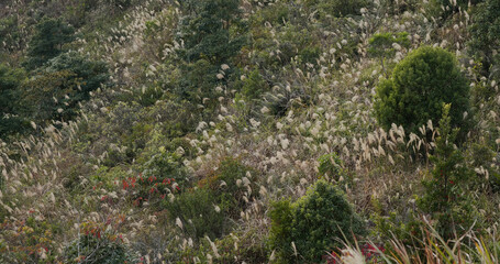 Beautiful mountain in autumn season