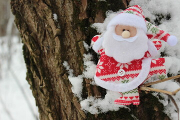 Santa Claus run on the snow in the forest in xmas time. Christas card with Santa.