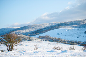 Fototapeta na wymiar Morning winter landscape