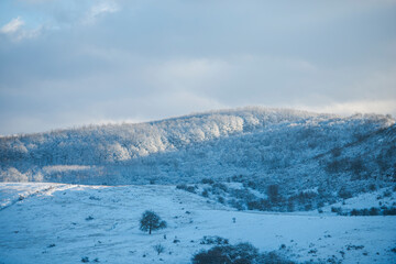 Fototapeta na wymiar Morning winter landscape