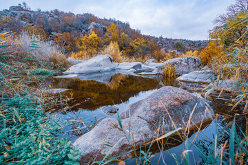 A fast clean stream runs among smooth wet stones surrounded by tall dry lumps