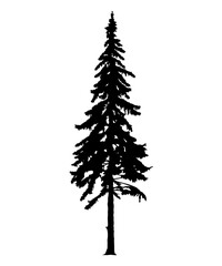 Silhouette of tall skinny pine tree. Hand made.