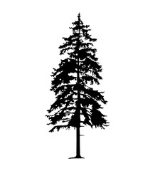 Silhouette of tall skinny pine tree. Hand made.