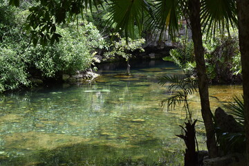 lake in the forest