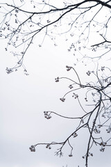 Obraz premium まだまだつぼみの固い公園の桜。