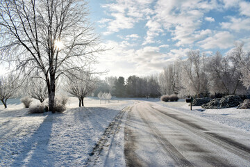 Fototapeta na wymiar Country Road in a Frosty Winter Landscape Scene