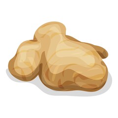 Ginger root icon. Cartoon of ginger root vector icon for web design isolated on white background