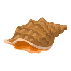 Sea shell icon. Cartoon of sea shell vector icon for web design isolated on white background