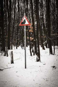 Ski Trail Sign