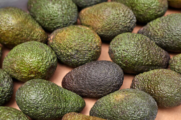 avocado hass in a box
