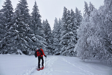 Randonnée raquettes dans le Vercors en France