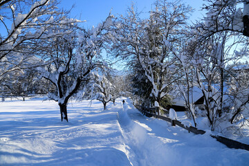Fototapeta premium Winterlandschaft, Imst in den Tiroler Alpen