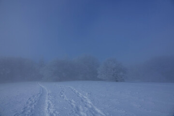 Obraz premium Winter landscape under snow and fog in the Vercors in France