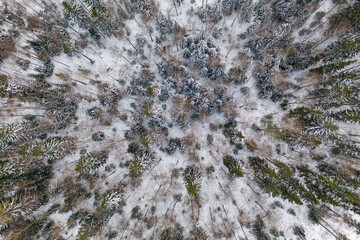 Aerial view with snow, trees and forest in Southern Finland