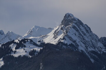 Fototapeta na wymiar Le Rubli, mountain seen from Horneggli, Switzerland.