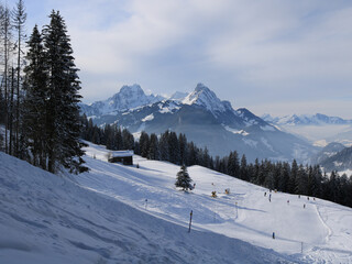 Ski slope in the Horneggli ski area, Switzerland.