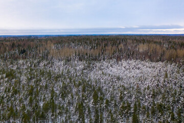 Aerial view with snow, trees and forest in Southern Finland