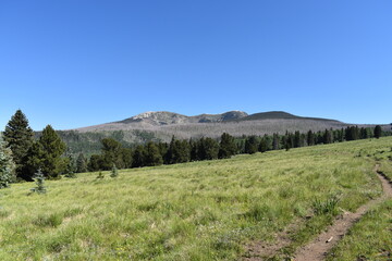 East Pecos Baldy New Mexico 2019