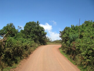 Fototapeta na wymiar Ngorongoro Conservation Area in Tanzania