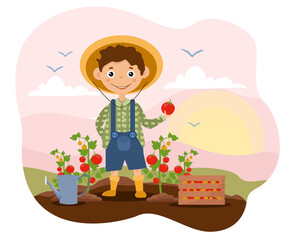 Little smiling kid in garden clothes is harvesting tomatoes. Concept of horticulture for every age and gender. Flat cartoon vector illustration